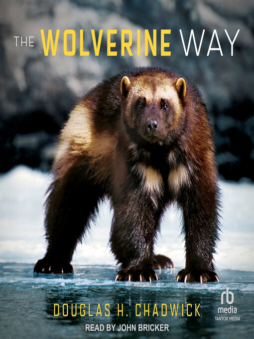 Title details for The Wolverine Way by Douglas H. Chadwick - Wait list